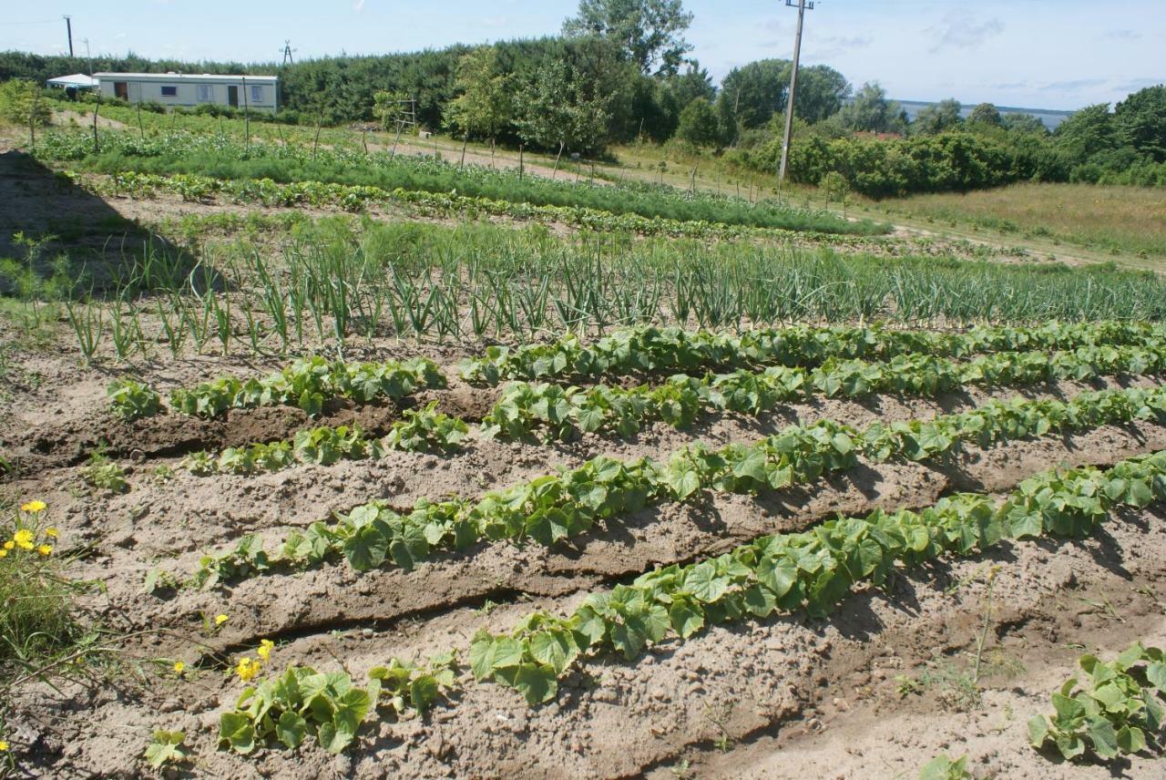Agrodomki Okej -Dom Kasjan Gardna Wielka Dış mekan fotoğraf