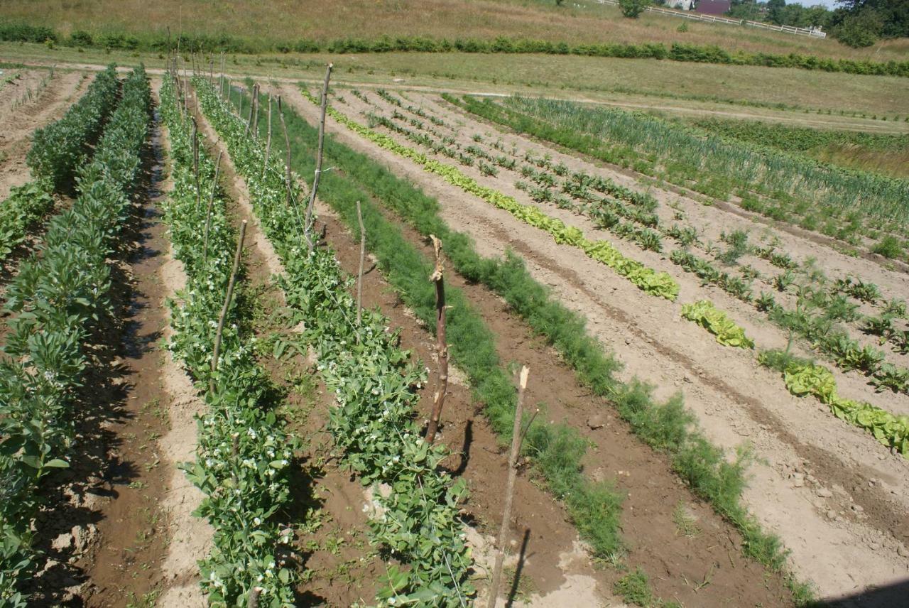 Agrodomki Okej -Dom Kasjan Gardna Wielka Dış mekan fotoğraf